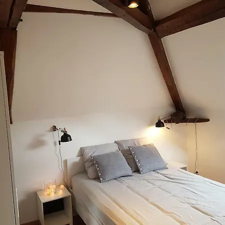 Tout Confort 45m² Appartement